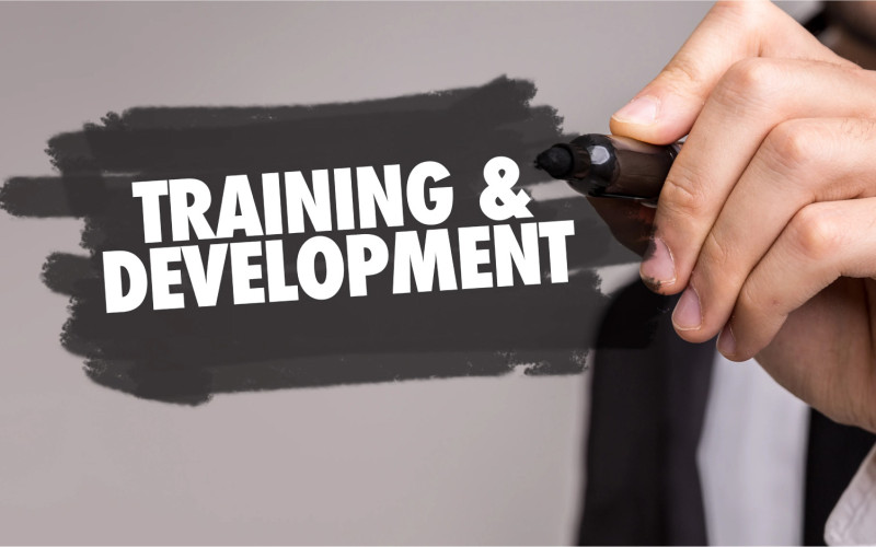 Training & Development Service